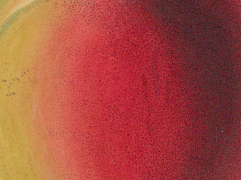 Detail of our first image, Bellegarde peach, showing stipple technique, from John Lindley, Pomologia Britannica, 1841 (Linda Hall Library)