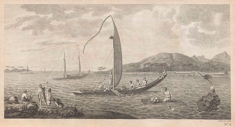 Sailing canoes in Tahiti, as drawn on Cook’s first voyage, in John Hawkesworth, <i>An Account of the Voyages</i>, 1773 (Linda Hall Library)
