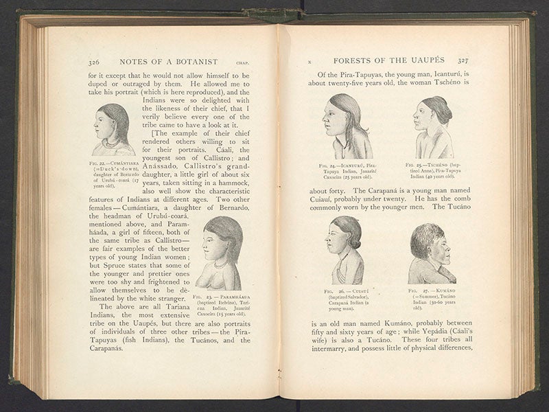 Individuals from various native tribes of the Amazon basin, sketches by Richard Spruce, in Notes of a Botanist, 1908 (Linda Hall Library)