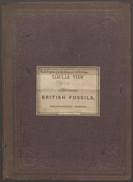 Cloth cover with pasted title label, A Tabular View of Characteristic British Fossils, Stratigraphically Arranged [compiled and engraved by J. W. Lowry, drawn by C. R. Bone], 1853 (Linda Hall Library).