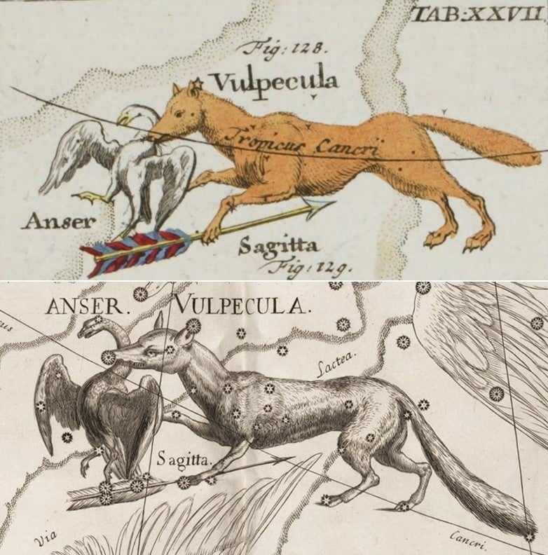 T: Enlargement of Vulpecula. Image source: Rost, Johann Leonhard. Atlas portatilis coelestis. Nuremberg: Johann Christoph Weigel, 1723, pl. 27. 

B: Vulpecula and Sagitta by Johannes. Image source: Hevelius, Johannes. Firmamentum Sobiescianum sive Uranographia. Gdansk: typis J.-Z. Stollii, 1690.