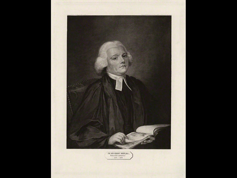 Image from the National Portrait Gallery, London