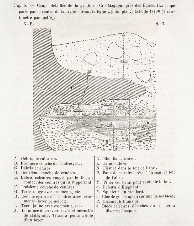 Detailed section of the Cro-Magnon cave, near Les Eyzies. Image source: Lartet, Louis. “Memoire sur une sepultre des anciens troglodytes de Perigord." Annales des sciences naturelles, 5th ser., Zoologie et Paleontologie, vol. 10, 1868, p. 138. 