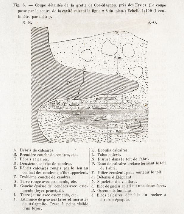 Cromagna V. Cro-Magnon, His Tools and His Art - The Linda Hall