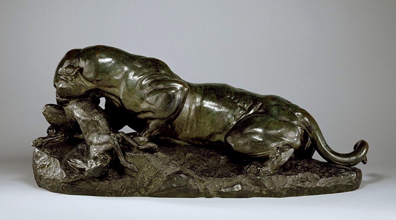 Jaguar Devouring a Hare, sculpture by Antoine-Louis Barye, 1850, bronze casting by Ferdinand Barbedienne, 1882, Walters Art Museum (art.thewalters.org)