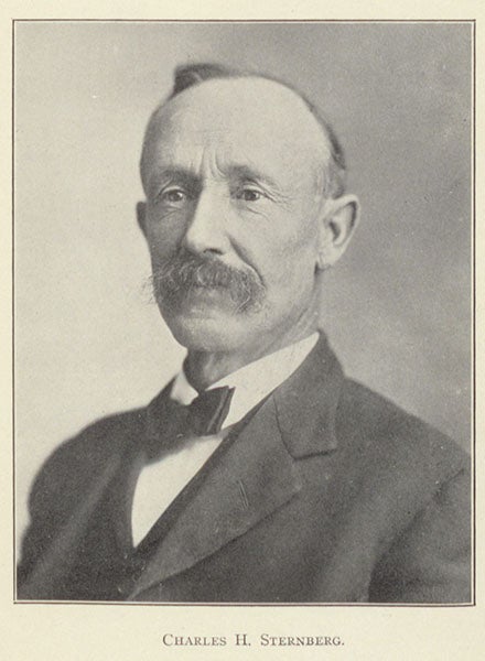 Portrait of Charles H. Sternberg, photograph frontispiece to The Life of a Fossil Hunter, by Charles H. Sternberg, 1909 (author’s collection)