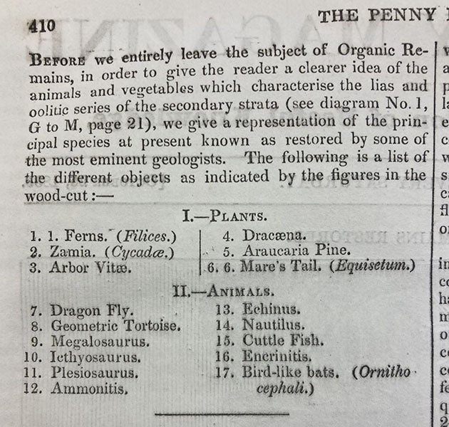 Identification key for cover woodcut, The Penny Magazine, vol. 2, no. 100, p. 409, Oct. 26, 1833 (The Linda Hall)
