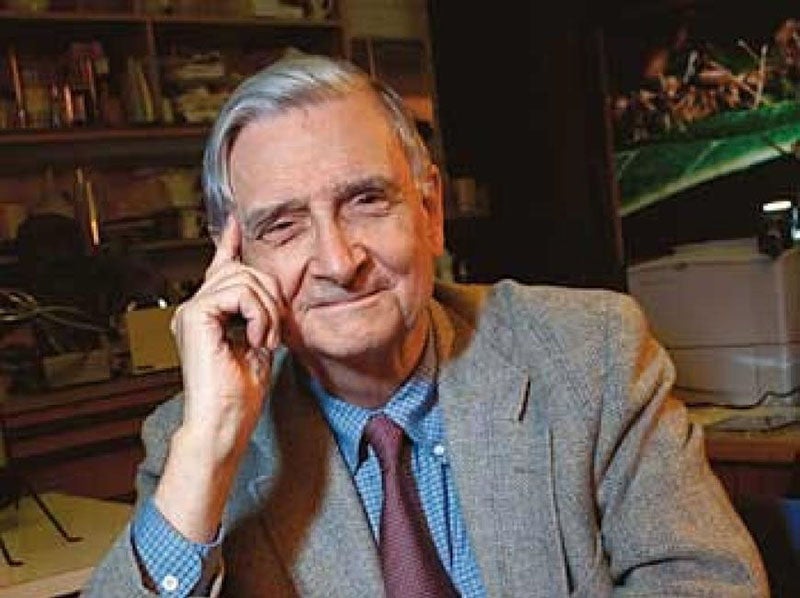 Portrait of E. O. Wilson in retirement, photograph, 2003, Harvard Magazine (harvardmagazine.com)
