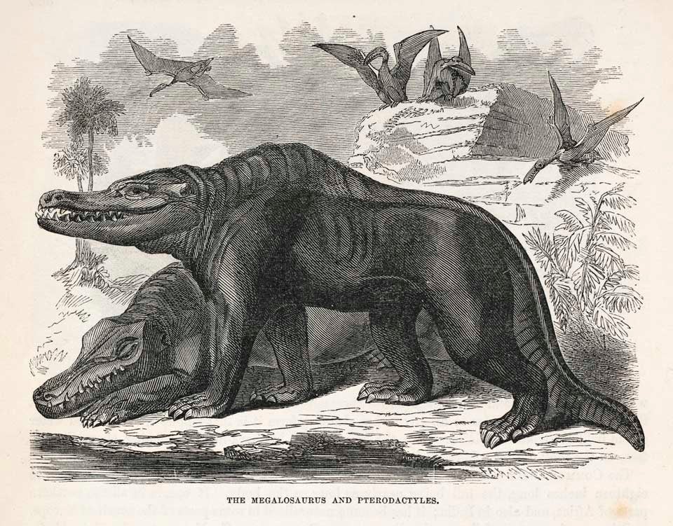 The Megalosaurus and Pterodactyles. This work was on display in the original exhibition as item 7. Image source: Goodrich, Samuel Griswold. Illustrated Natural History of the Animal Kingdom. Vol. 2, New York: Derby & Jackson, 1859, p. 384.