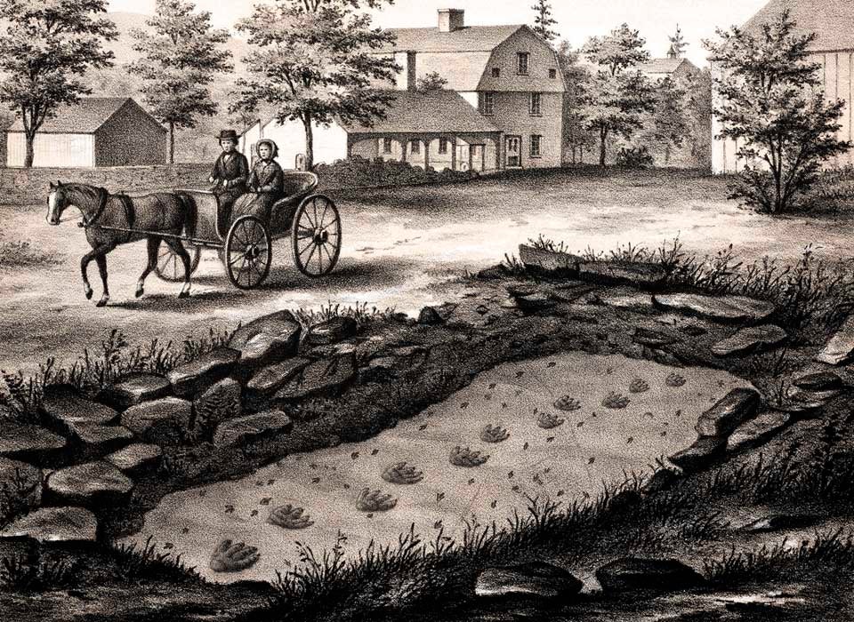 The moody foot mark quarry. This work was on display in the original exhibition as item 8. Image source: Hitchock, Edward. Ichnology of New England. A Report on the Sandstone of the Connecticut Valley, especially its Fossil Footmarks. Boston: William White, 1858, pl. 1.