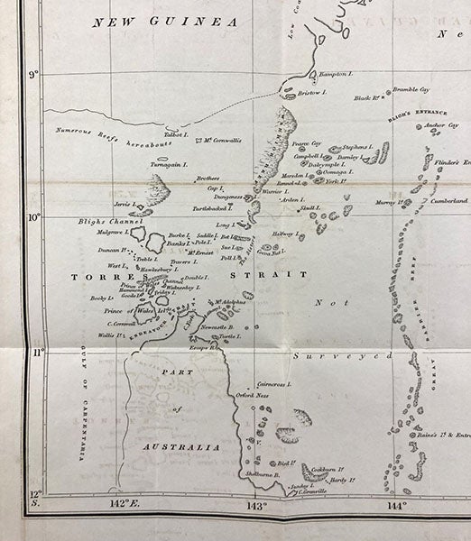 Detail of map of Torres Strait, showing the tip of Cape York. The island with “Wales” printed on it is Muralag, where Barbara Crawford Thompson was taken by Islanders after her shipwreck, folding engraving in Narrative of the Voyage of H.M.S. Rattlesnake, commanded by the late Captain Owen Stanley... during the years 1846-50, by John MacGillivray, vol. 1, 1852 (Linda Hall Library)
