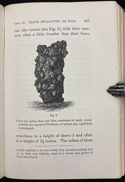 Tower of worm castings found near Nice, wood engraving in The Formation of Vegetable Mould, through the Action of Worms, by Charles Darwin, p. 107, 1881 (Linda Hall Library)