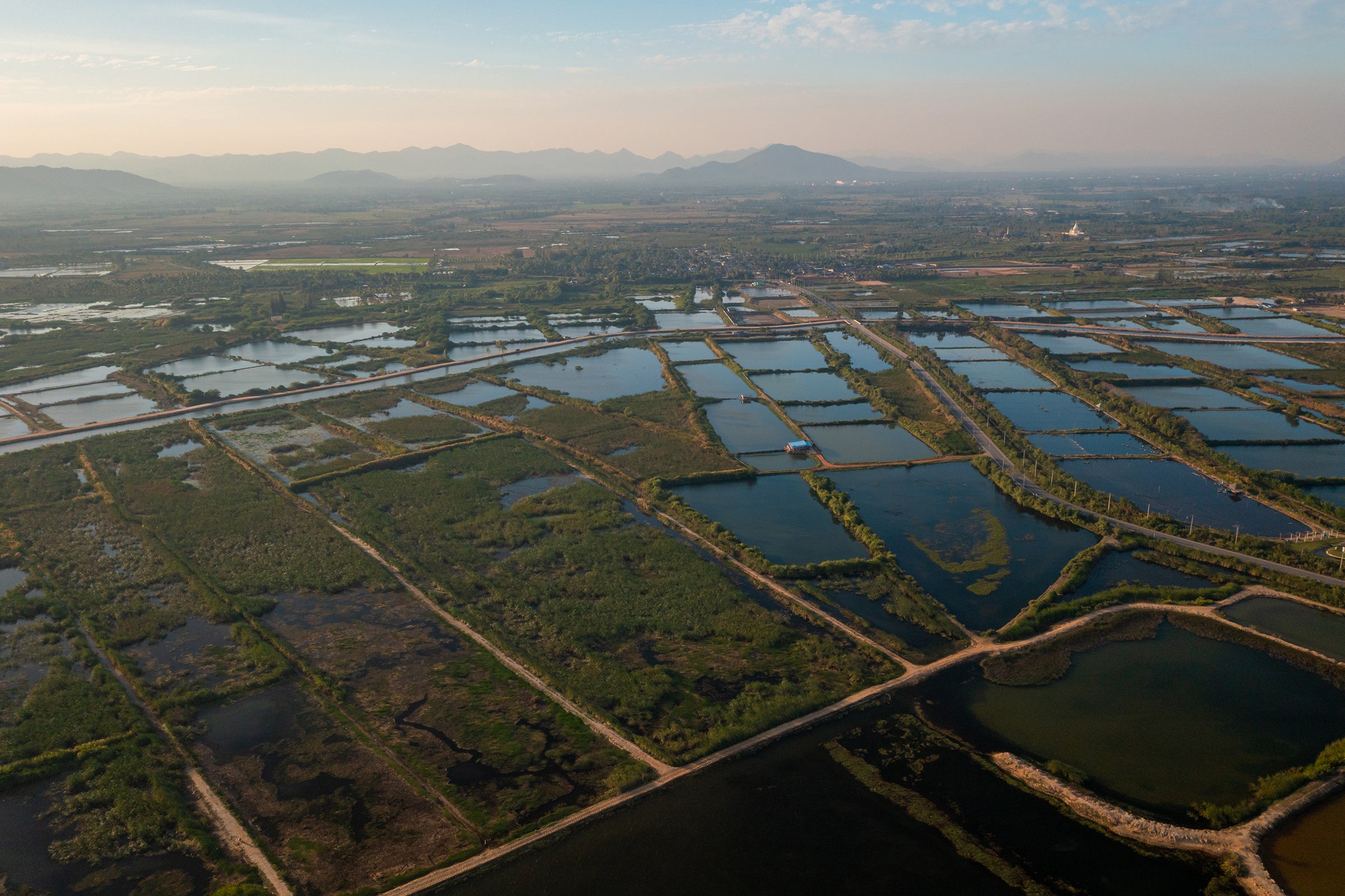 Hatchery seen from overhead