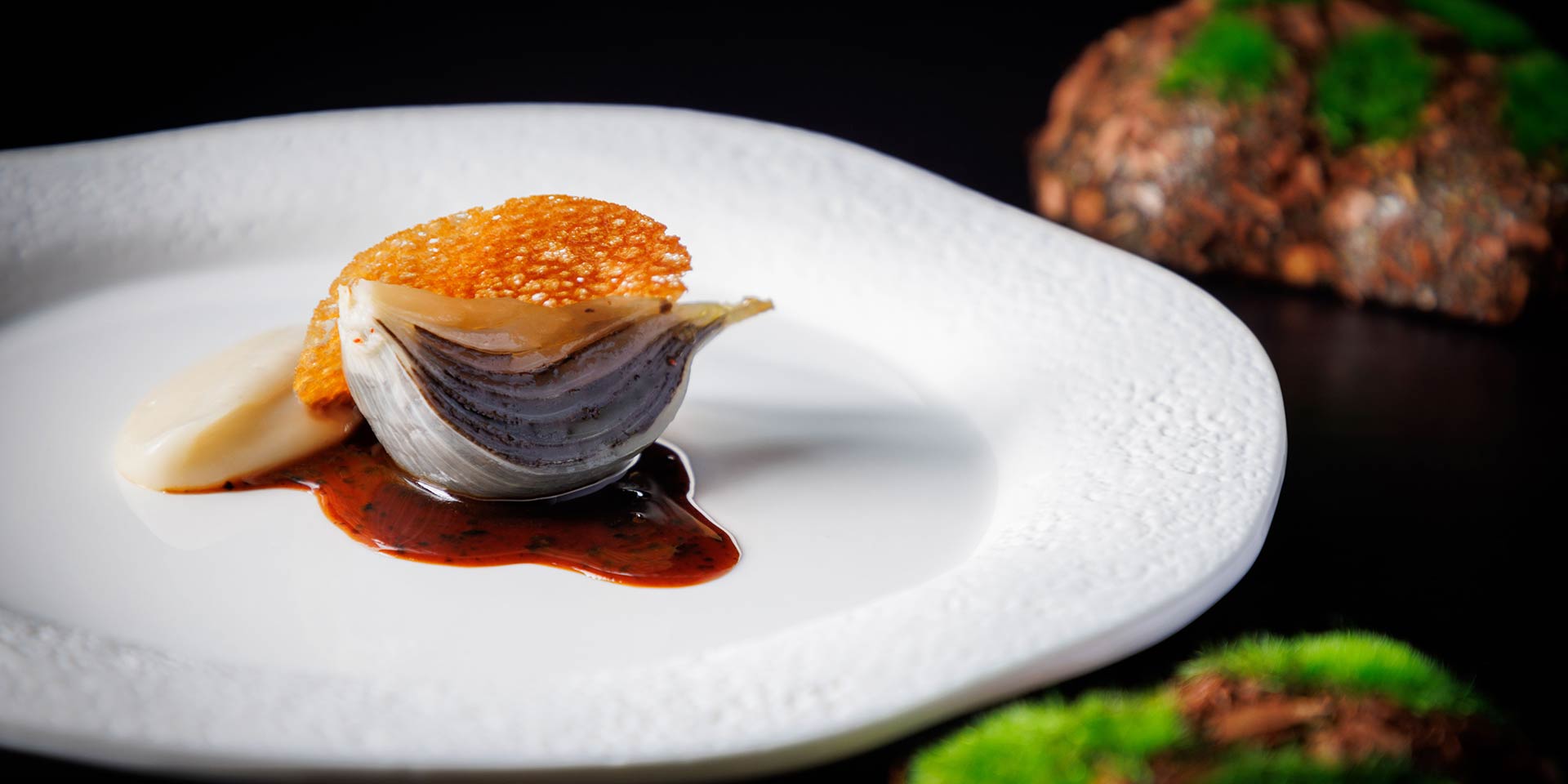 Ami / Wood Ear LANDMARK