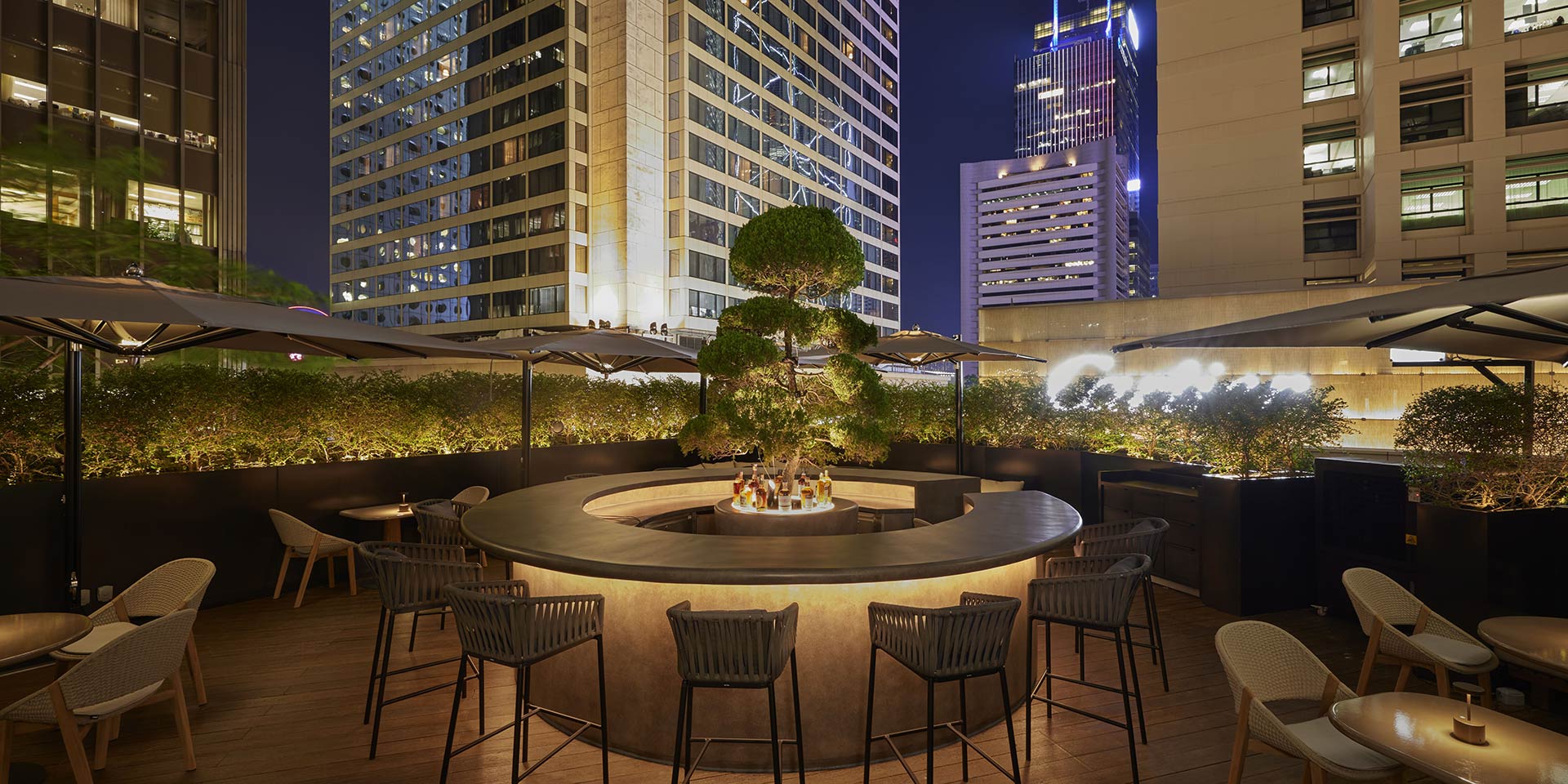 Ami / Wood Ear LANDMARK