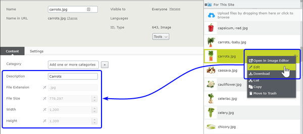 Generating image metadata and SVG thumbnails in Episerver — Luminary