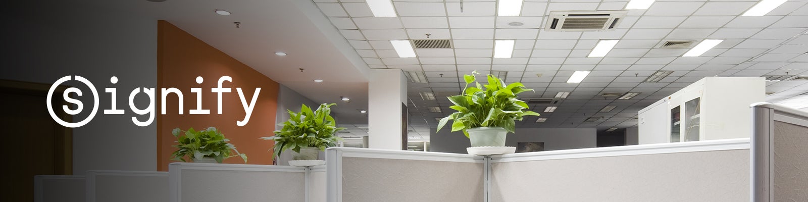 Signify | Lighting Fixtures & Systems