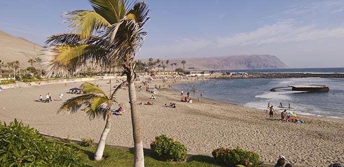 Playa Chinchorro con palmeras, arena clara, bañistas y mar tranquilo frente a la ciudad costera, Arica, Chile.