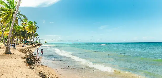 Playa de Punta Cana, República Dominicana, con palmeras tropicales, arena blanca y aguas turquesas del Caribe.