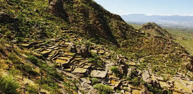 Terrazas de piedra y senderos prehispánicos entre cerros y cardones en las Ruinas de Quilmes, Valles Calchaquíes, Tucumán, Argentina.