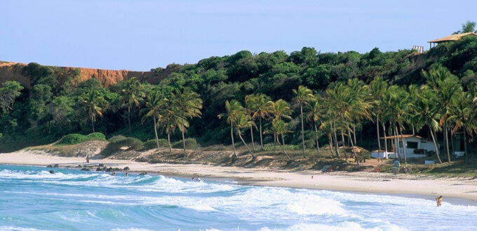 Playa de olas y arena clara en Praia do Amor, Pipa (Brasil), rodeada de palmeras y acantilados verdes junto a casas costeras.