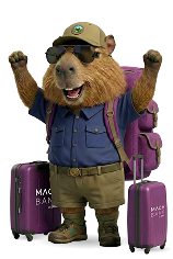 Mascota