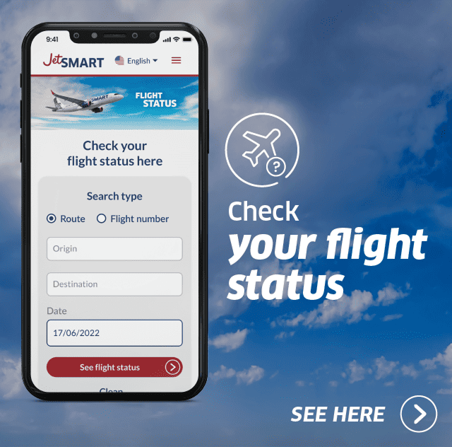 Flight status and aviation information widget