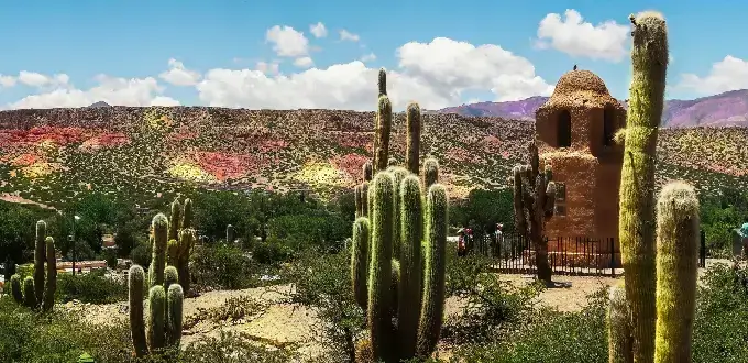 Paisaje de Jujuy, Argentina, con cactus gigantes y cerros multicolores de la Quebrada de Humahuaca.