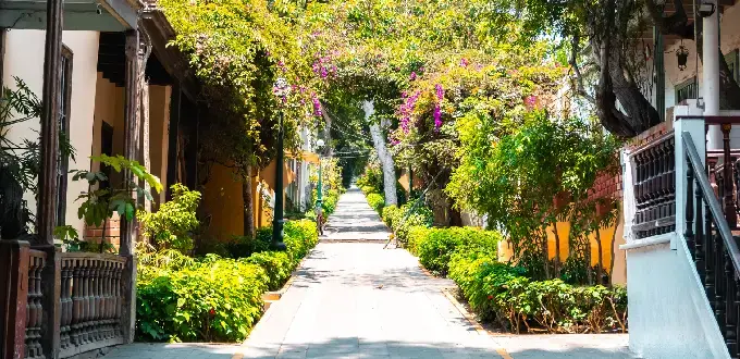Calle arbolada con casas tradicionales y jardines en Barranco, Lima, Perú.