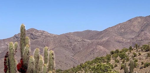 Paisaje del Valle del Elqui, Chile: cerros áridos bajo cielo despejado y cactus nativos entre vegetación del valle.