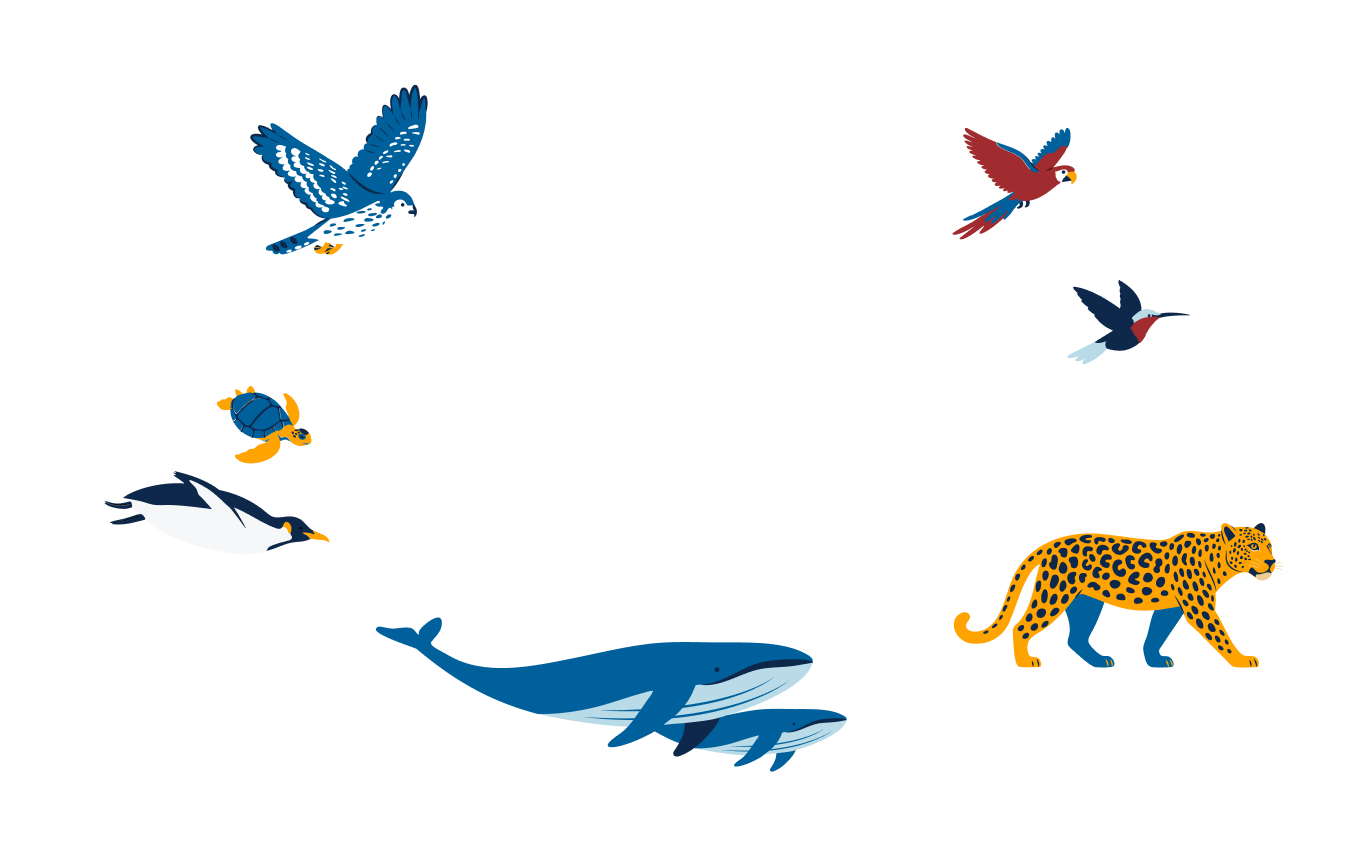 Animales decorativos