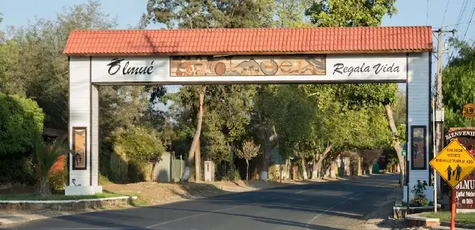 Pórtico de entrada a Olmué, Chile, con letrero “Regala Vida” y entorno arbolado en acceso urbano.