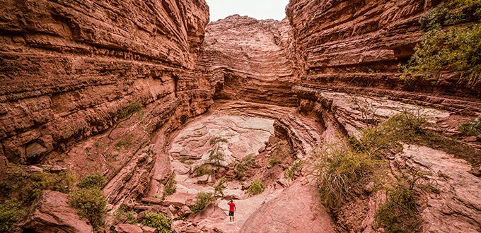 Cañón rojizo de la Quebrada de las Conchas en Salta, con paredes estratificadas y una persona explorando el paisaje natural.