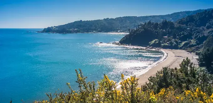 Playa de Niebla en Valdivia, costa del Pacífico con arena, acantilados y vegetación del sur de Chile