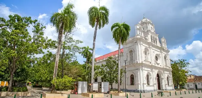 Catedral San Jerónimo de Montería rodeada de palmeras y vegetación en el centro de Montería, Colombia.