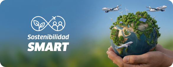 Sostenibilidad SMART