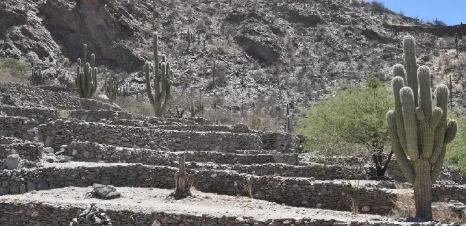Ruinas de Quilmes en Tucumán, con antiguas construcciones de piedra y cactus entre las montañas.