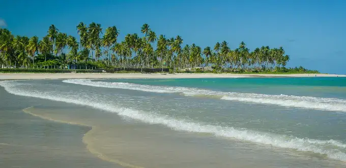 Praia de Ipioca en Maceió, Brasil, con aguas turquesas, arena blanca y palmeras frente al mar tropical.