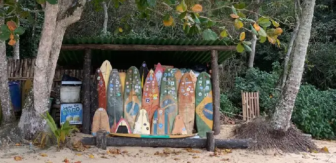 Tablas de surf decoradas en Ilha Grande, Brasil, rodeadas de naturaleza tropical y ambiente costero.