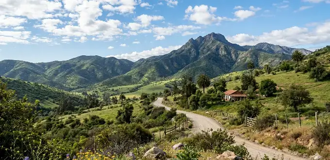 Paisaje rural de Olmué, Chile, con cerros verdes, camino de tierra, palmas chilenas y vista al cerro La Campana.