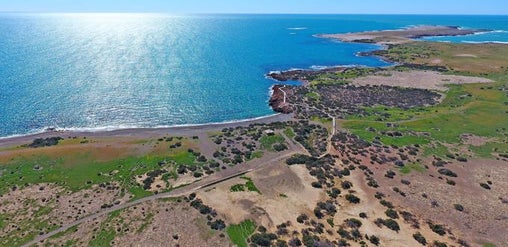 Vista aérea de la costa de Punta Tombo Argentina con acantilados, senderos y océano Atlántico al fondo. Fotografía panorámica utilizada para mostrar el paisaje costero del sur de Argentina.