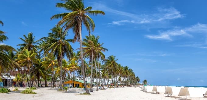 Playa de arena blanca y palmeras en San Andrés, Colombia