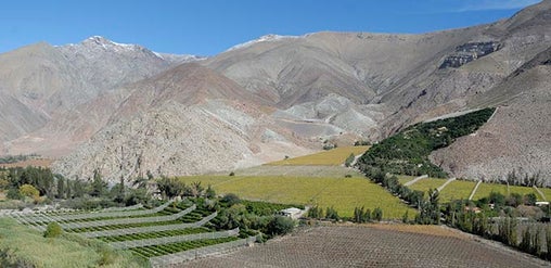 Valle del Elqui, Chile: viñedos y cultivos verdes rodeados de montañas áridas bajo cielo despejado, paisaje natural y rural.