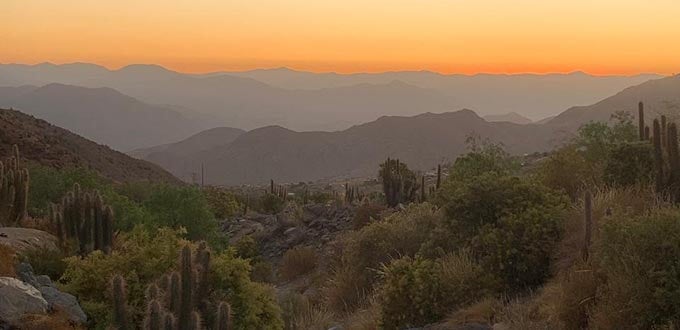Atardecer en el Valle del Elqui, Chile: cerros en capas, cactus y vegetación nativa bajo cielo anaranjado y luz suave.