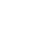 Icono 2020