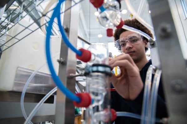 occupation details image