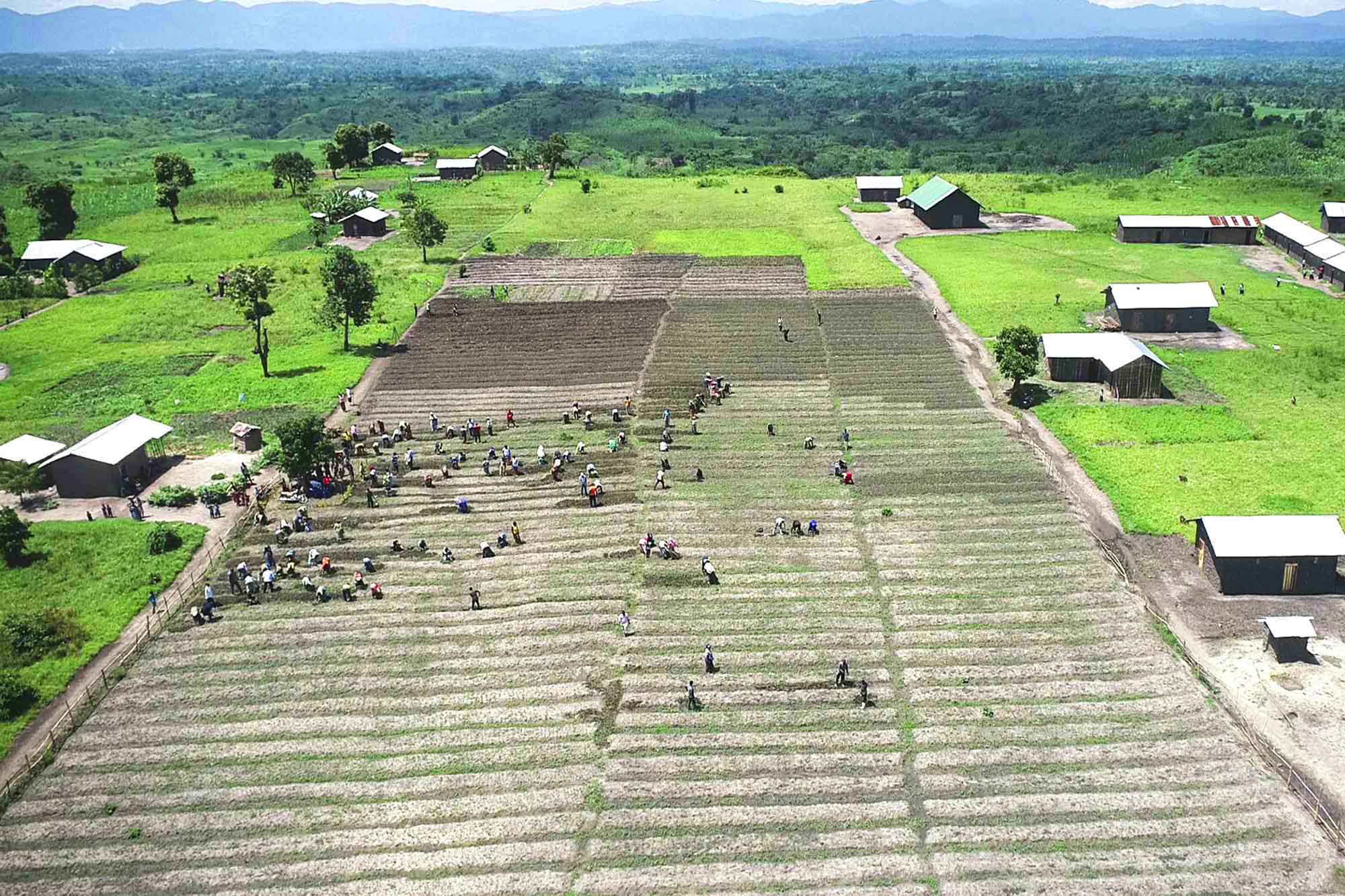 A bird's eye view of a large grassy landscape featuring crop fields and a few small buildings.