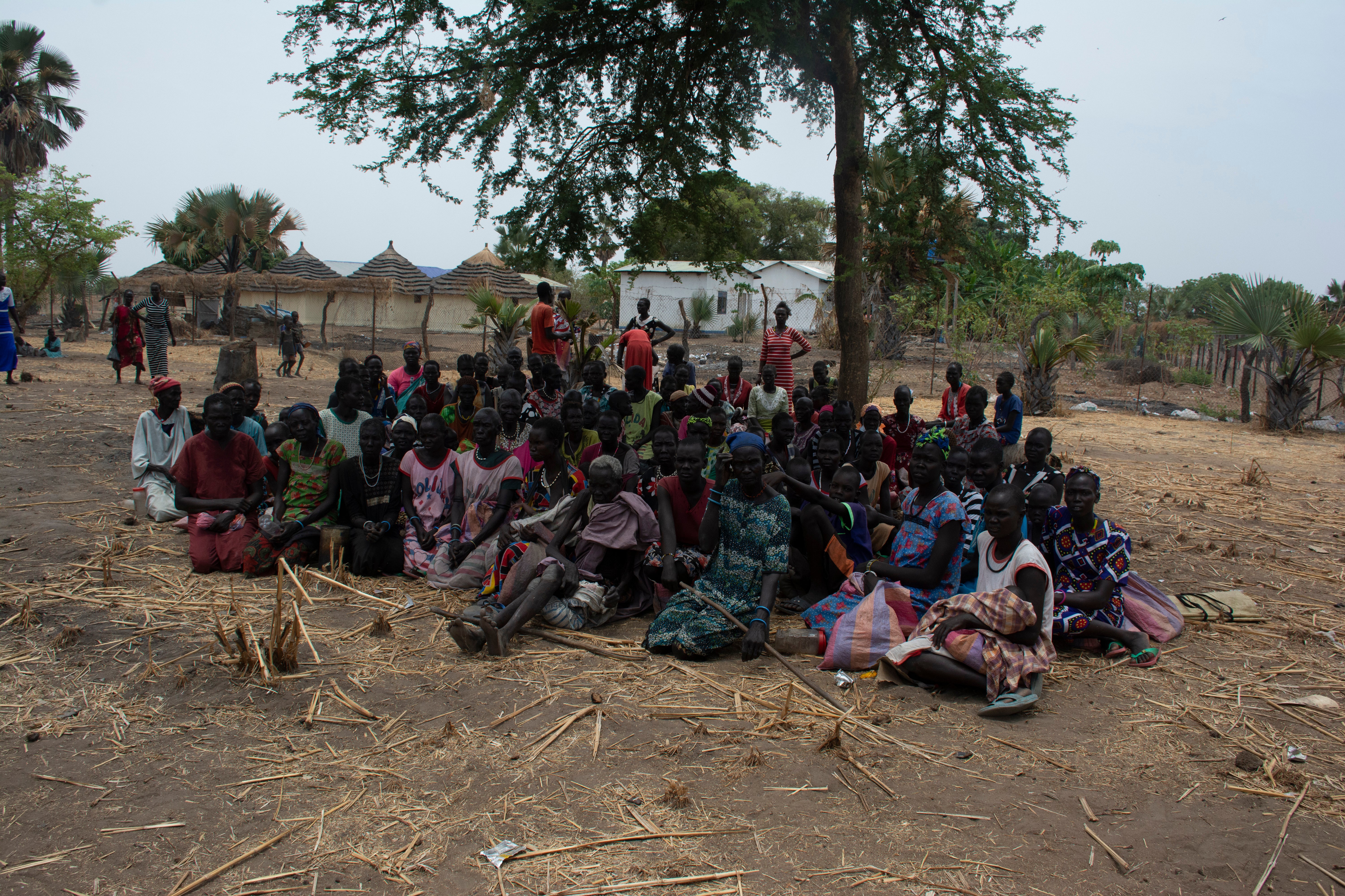 A large group of people sitting on the ground, under a tree.