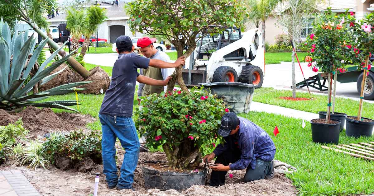 Landscaping Business Insurance, How Much Does It Cost To Start A Landscaping Business In Florida