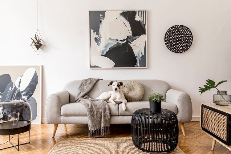 Mississippi Contents Coverage Insurance